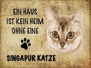 Holzschild 30x40 cm Singapur Katze ohne kein Heim