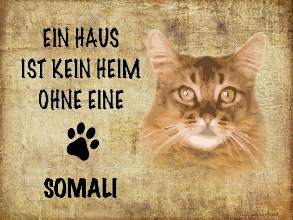 Holzschild 30x40 cm Somali Katze ohne kein Heim