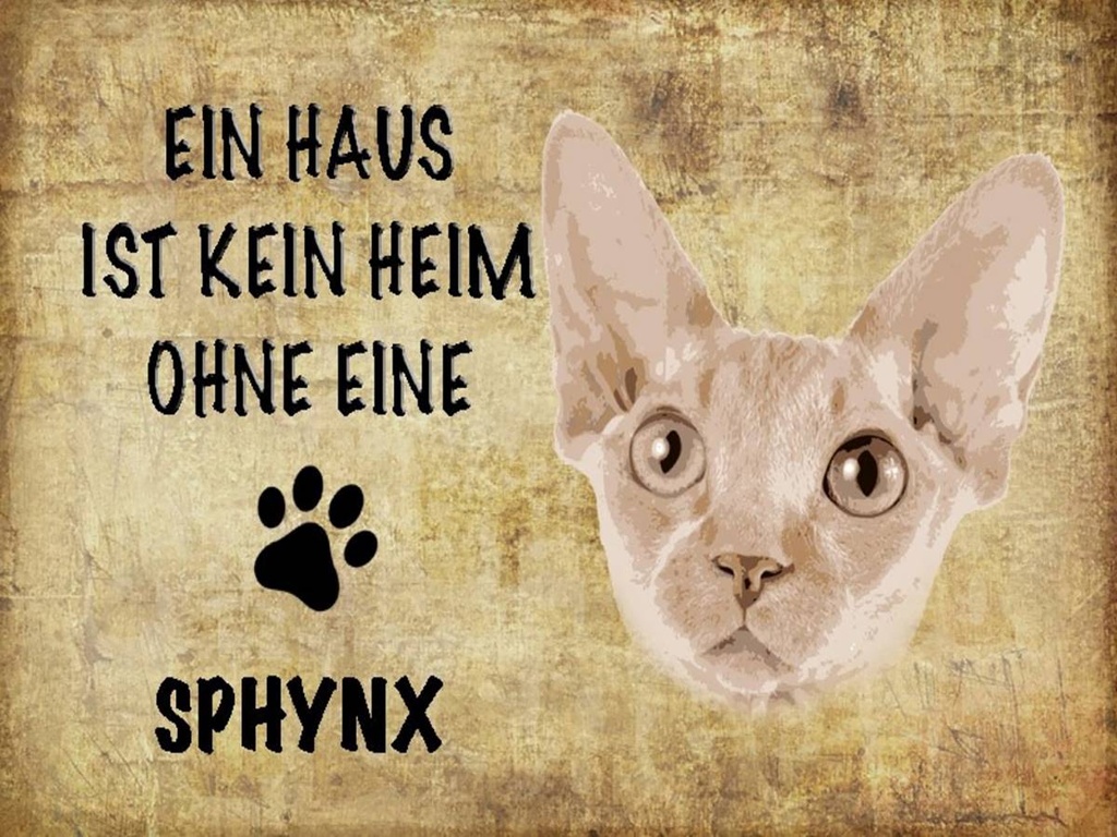 Holzschild 30x40 cm Sphynx Katze ohne kein Heim