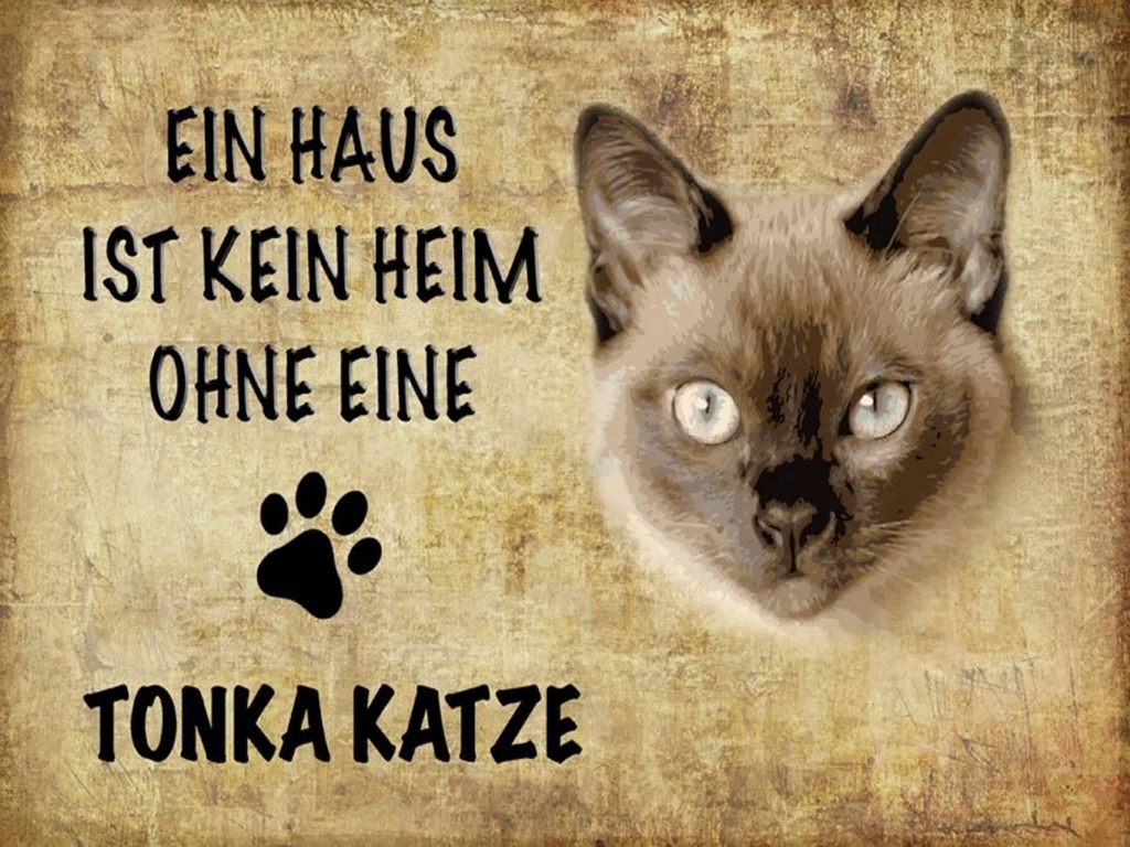 Holzschild 30x40 cm Tonka Katze ohne kein Heim