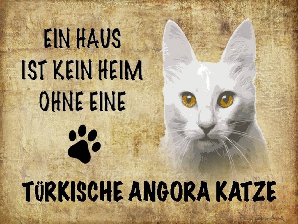 Holzschild 30x40 cm türkische Angora Katze
