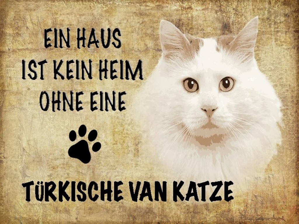 Holzschild 30x40 cm türkische Van Katze
