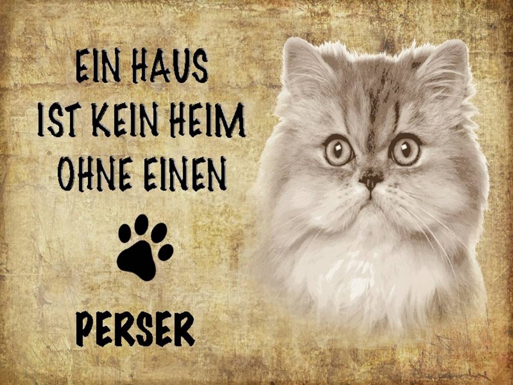 Holzschild 30x40 cm Perser Katze ohne kein Heim