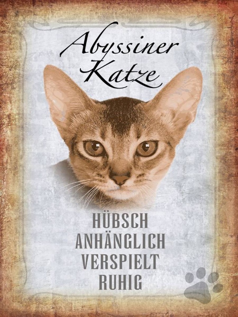 Holzschild 40x30 cm Abyssiner Katze hübsch verspielt