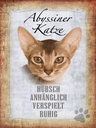 Holzschild 40x30 cm Abyssiner Katze hübsch verspielt