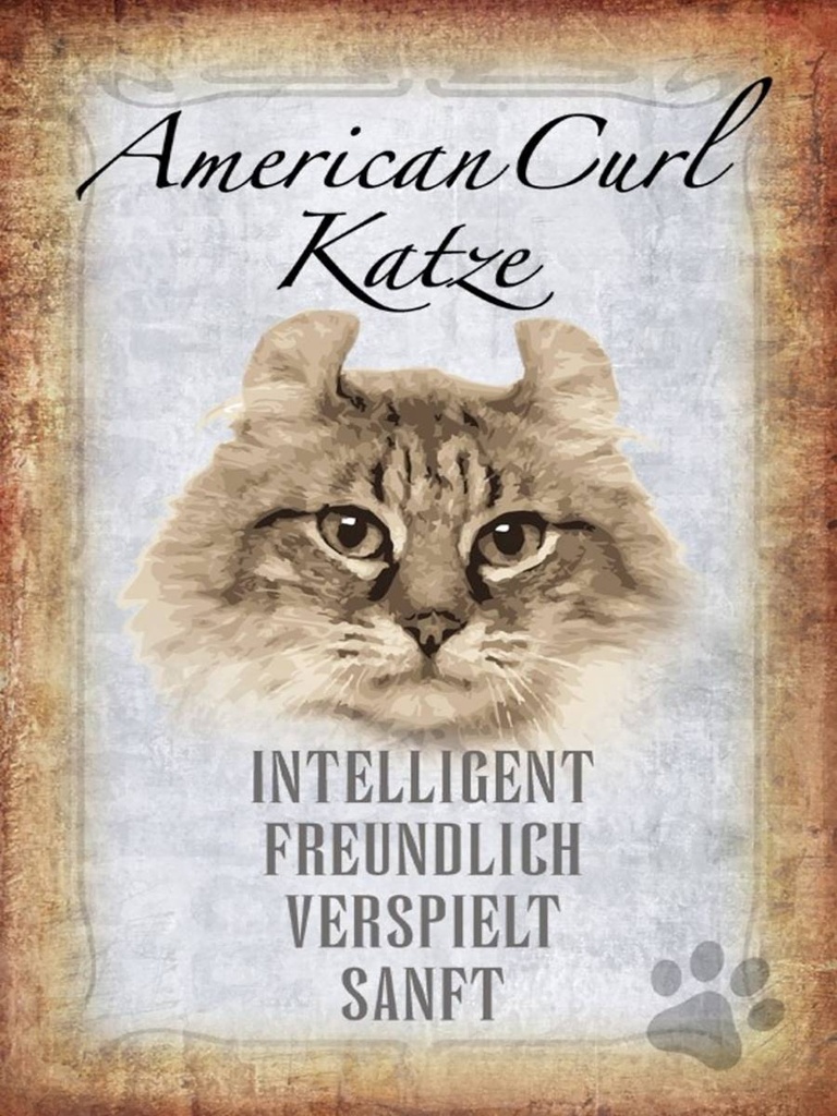Holzschild 40x30 cm American Curl Katze