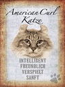 Holzschild 40x30 cm American Curl Katze