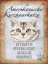 Holzschild 40x30 cm Americanische Katze Kurzhaar