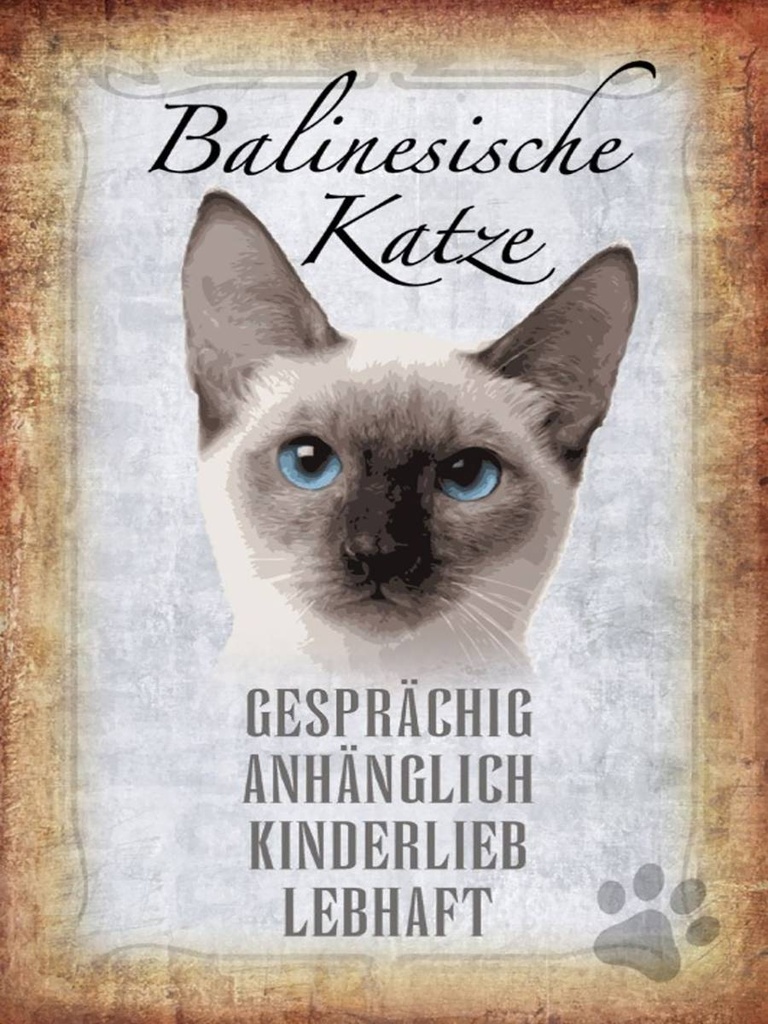 Holzschild 40x30 cm balinesische Katze