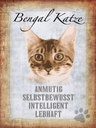 Holzschild 40x30 cm Bengal Katze