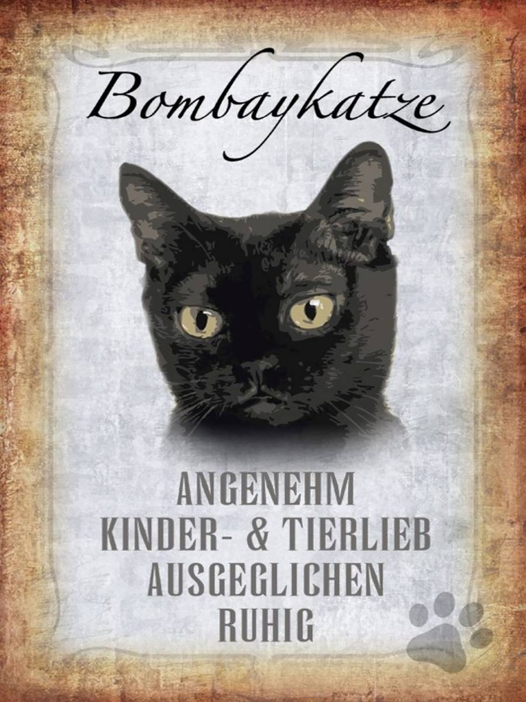 Holzschild 40x30 cm Bombaykatze Katze