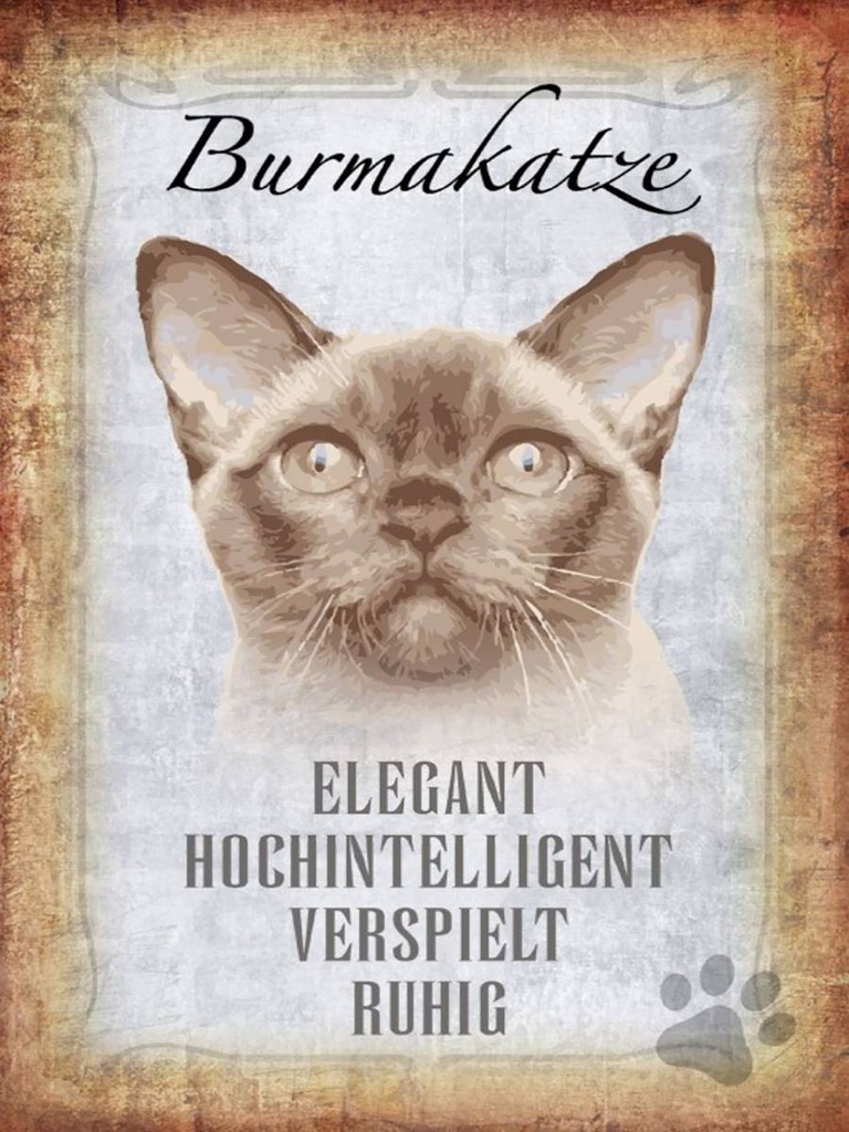 Holzschild 40x30 cm Burmakatze Katze