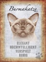 Holzschild 40x30 cm Burmakatze Katze