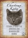 Holzschild 40x30 cm Chartreux Katze stark
