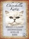 Holzschild 40x30 cm Chinchilla Katze hübsch elegant