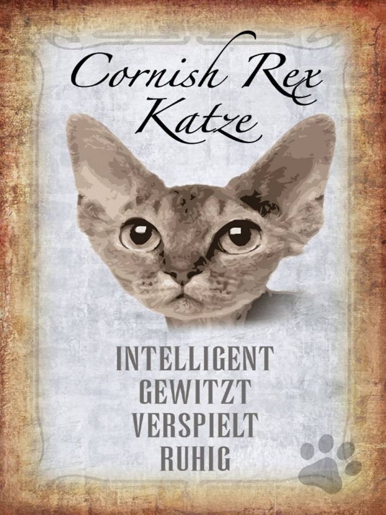 Holzschild 40x30 cm Cornish Rex Katze