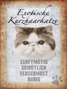 Holzschild 40x30 cm exotische Kurzhaarkatze Katze