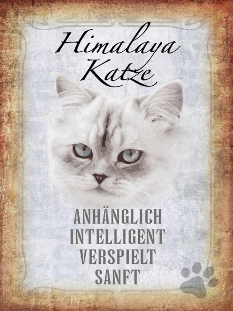Holzschild 40x30 cm Himalaya Katze sanft