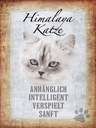 Holzschild 40x30 cm Himalaya Katze sanft