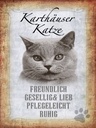 Holzschild 40x30 cm Kartäuser Katze lieb