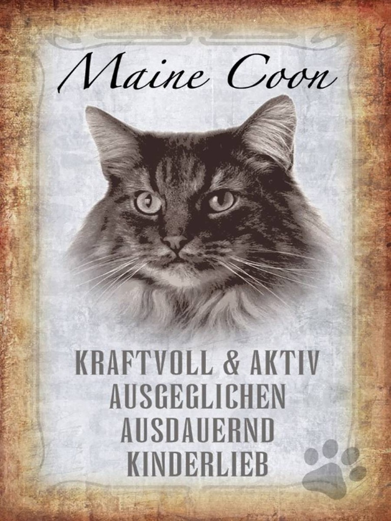 Holzschild 40x30 cm Maine Coon Katze aktiv
