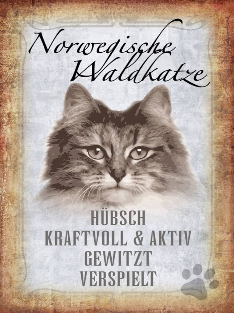 Holzschild 40x30 cm norvegische Waldkatze Katze Wanddeco
