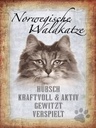 Holzschild 40x30 cm norvegische Waldkatze Katze Wanddeco