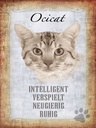 Holzschild 40x30 cm Ocicat Katze verspielt