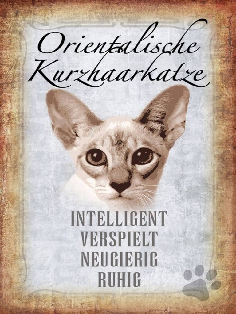 Holzschild 40x30 cm orientalische Kurzhaarkatze