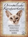 Holzschild 40x30 cm orientalische Kurzhaarkatze