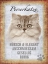 Holzschild 40x30 cm Perserkatze Katze hübsch