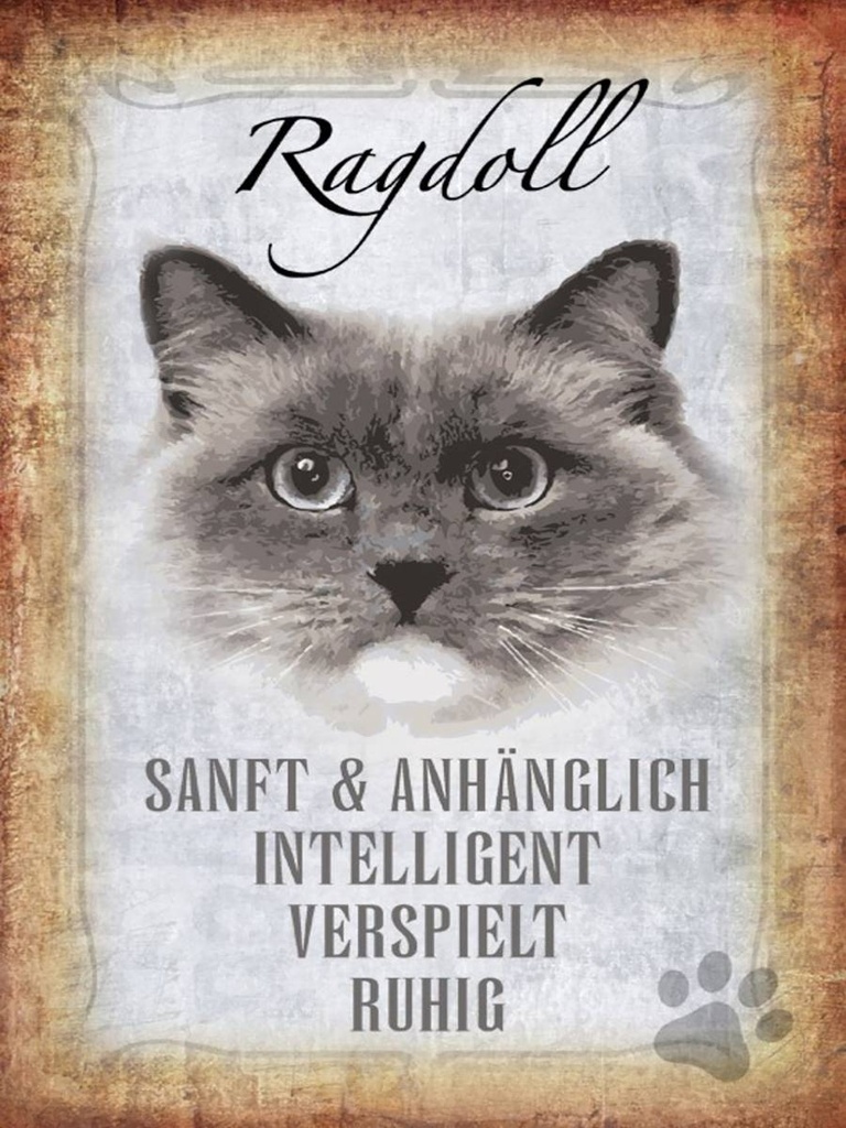 Holzschild 40x30 cm Ragdoll Katze sanft