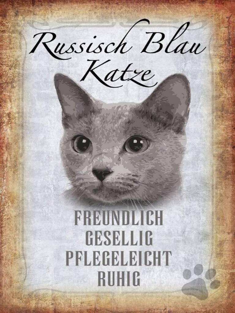 Holzschild 40x30 cm russisch blau Katze