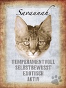 Holzschild 40x30 cm Savannah Katze exotisch