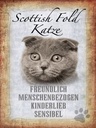 Holzschild 40x30 cm Scottish Fold Katze