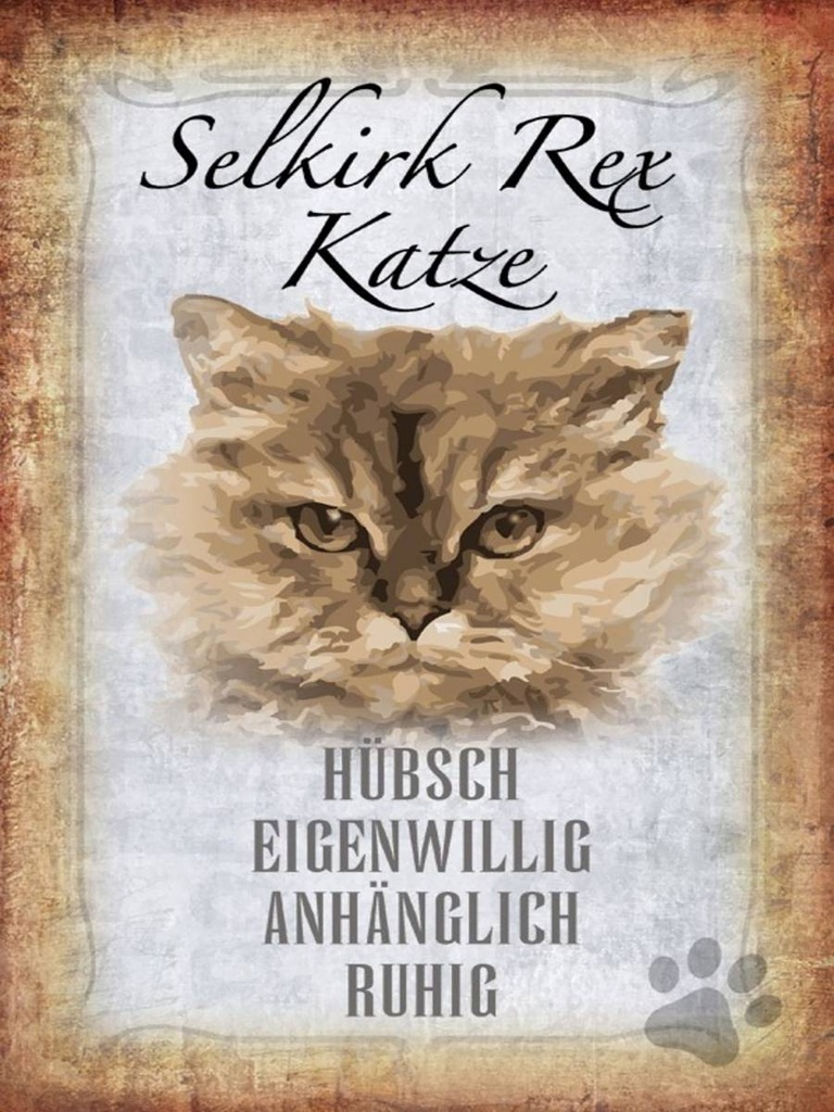 Holzschild 40x30 cm Selkirk Rex Katze ruhig