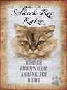 Holzschild 40x30 cm Selkirk Rex Katze ruhig