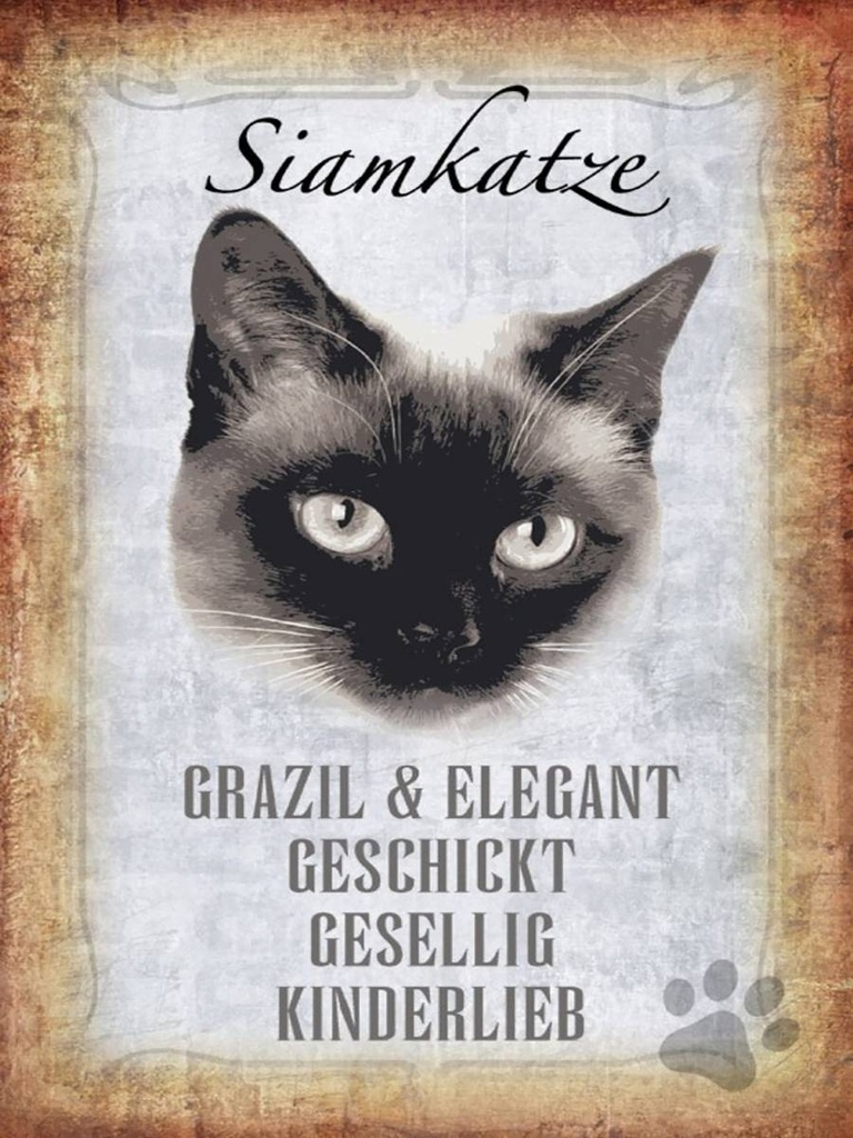 Holzschild 40x30 cm Siamkatze Katze grazil