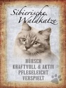 Holzschild 40x30 cm sibirische Waldkatze Katze Wandschild