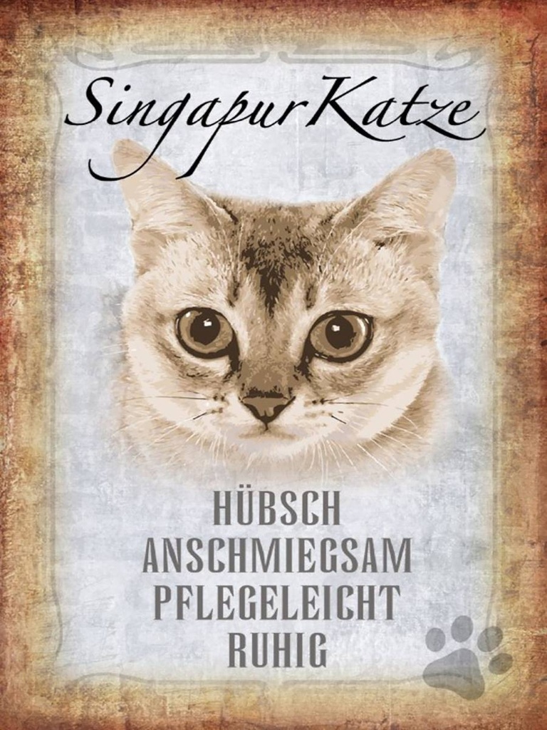 Holzschild 40x30 cm Singapur Katze