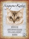 Holzschild 40x30 cm Singapur Katze