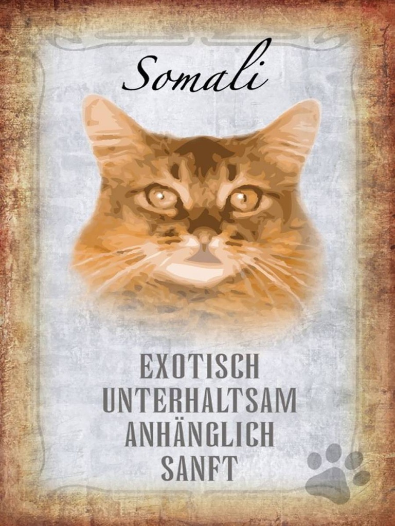 Holzschild 40x30 cm Somali Katze
