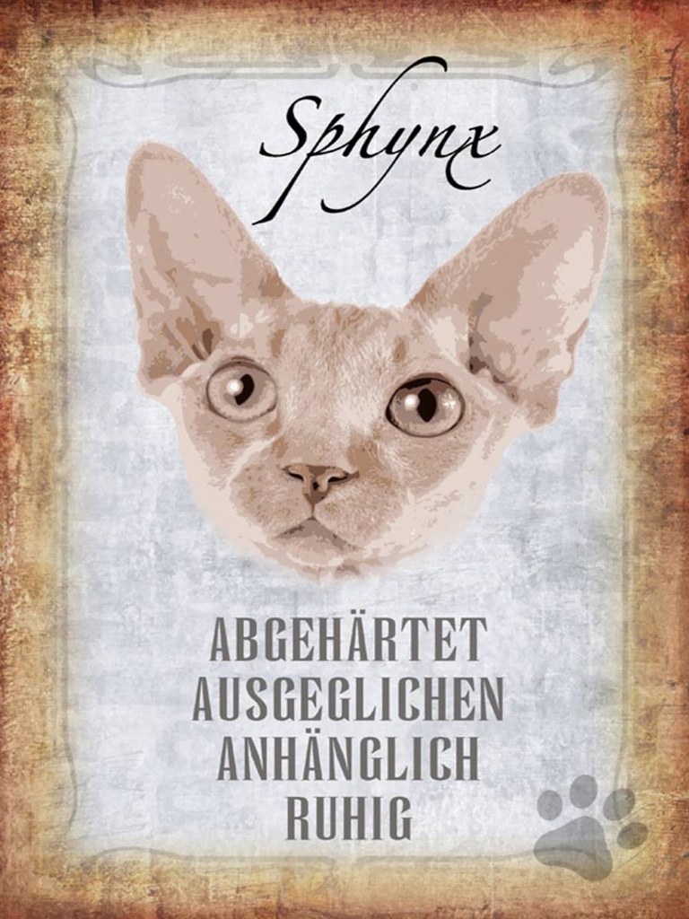 Holzschild 40x30 cm Sphynx Katze