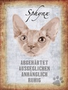 Holzschild 40x30 cm Sphynx Katze