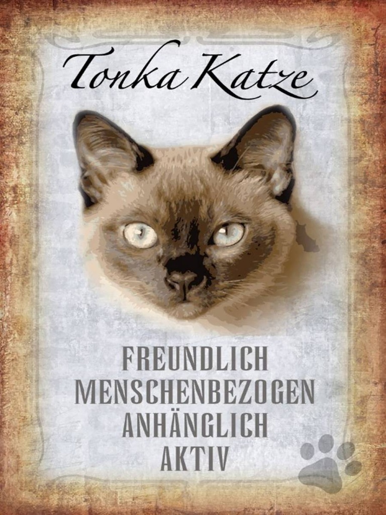 Holzschild 40x30 cm Tonka Katze