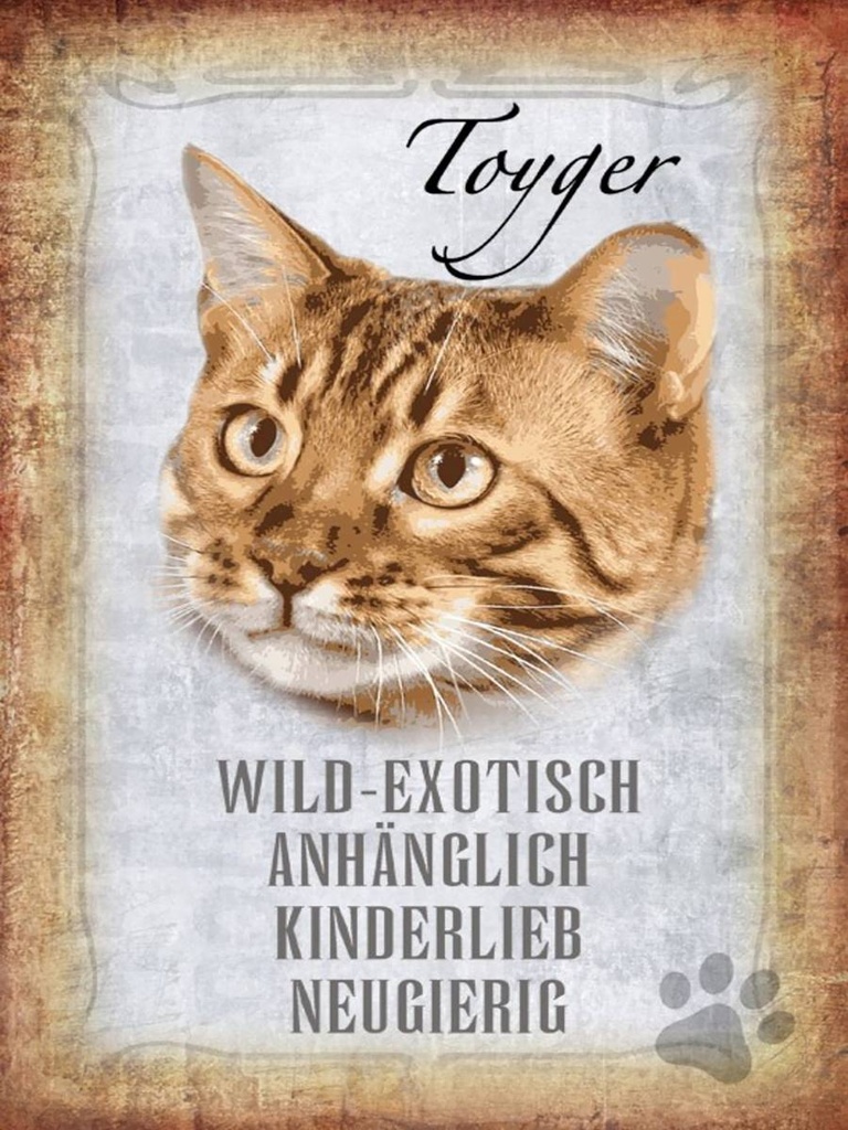 Holzschild 40x30 cm Toyger Katze Wandbild