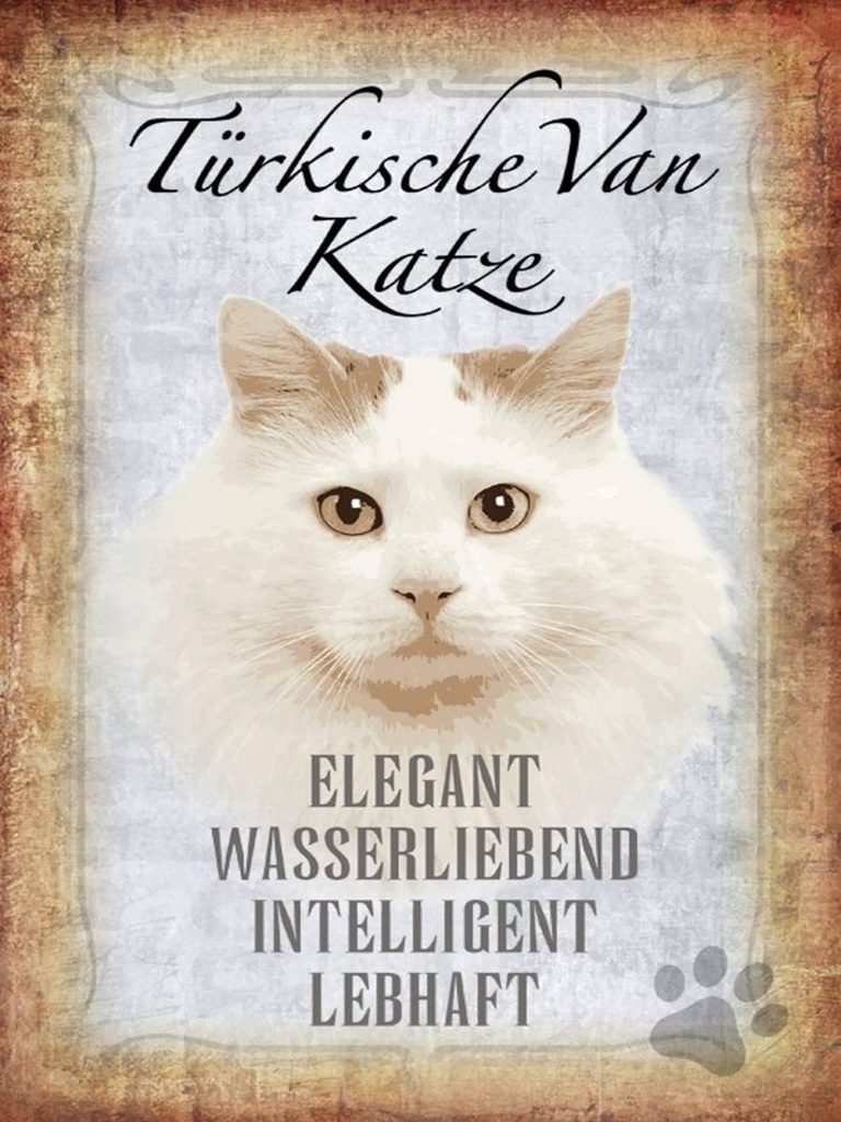 Holzschild 40x30 cm türkische Van Katze