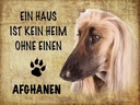Holzschild 30x40 cm Afghanen Hund ohne kein Heim