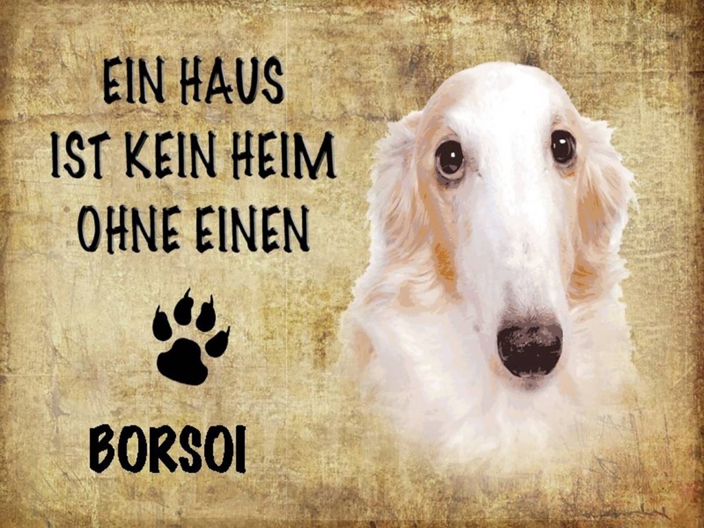 Holzschild 30x40 cm Borsoi Hund ohne kein Heim