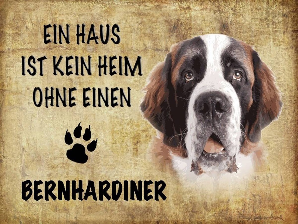 Holzschild 30x40 cm Bernhardiner Hund ohne kein Heim